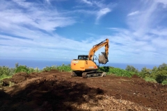 Land-Clearing